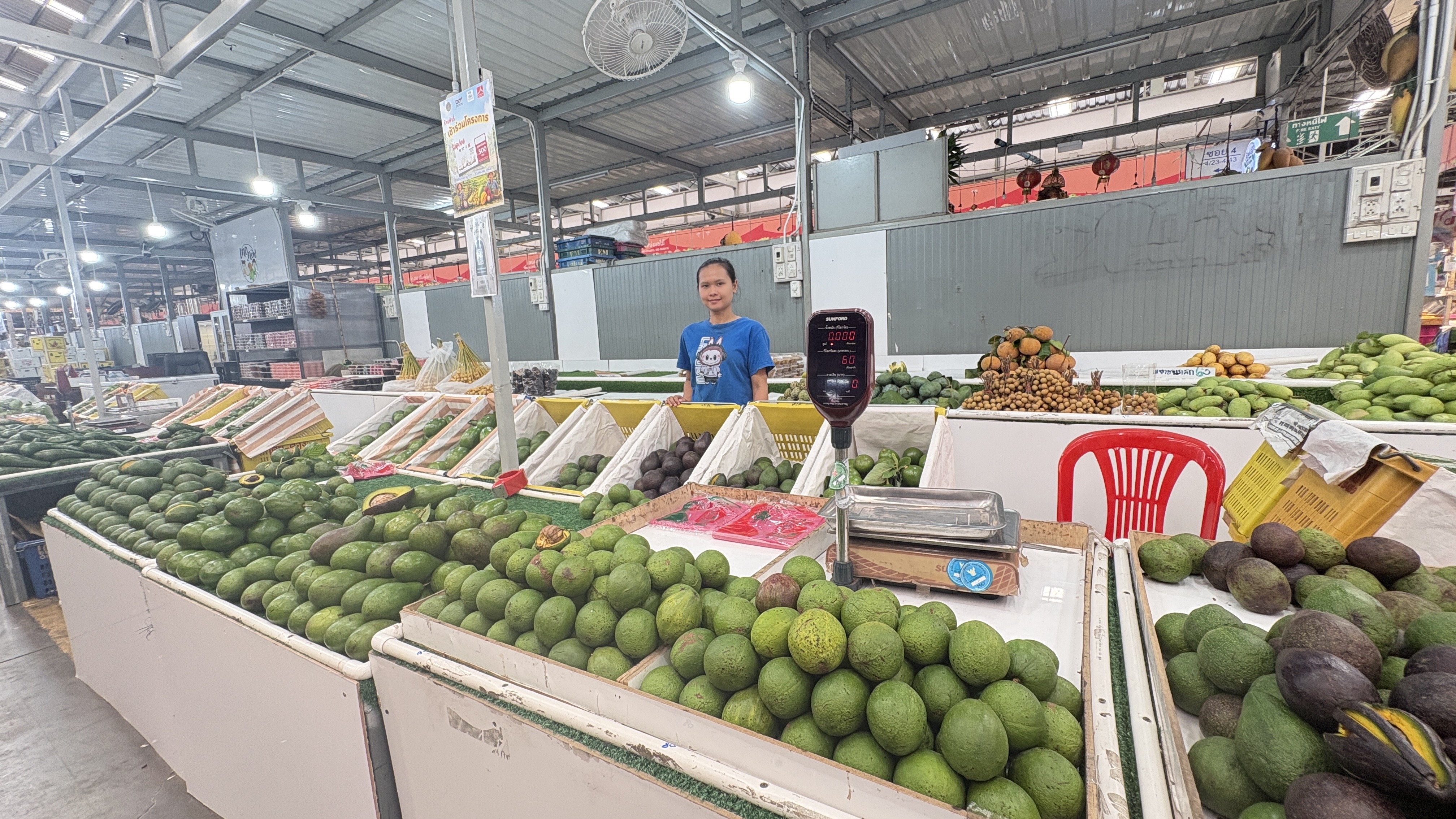 ตลาดสี่มุมเมืองยกทัพอะโวคาโด 7 สายพันธุ์ ขายตลอดปี ราคาค้าส่งจากสวน